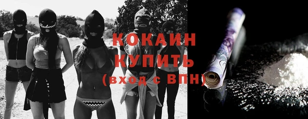 соль ск Алексин