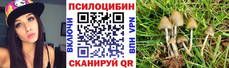 гидра ССЫЛКА  Серов  Галлюциногенные грибы мухоморы 